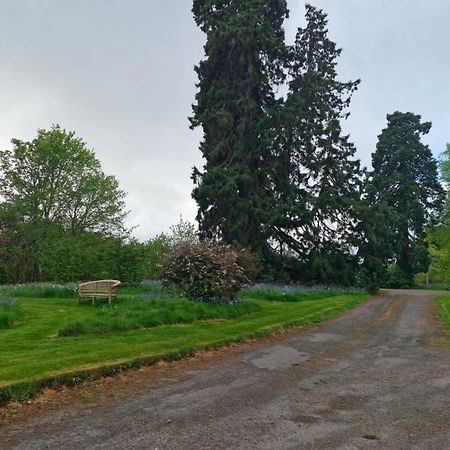 The Bungalow - Ardullie Lodge Dingwall Eksteriør billede