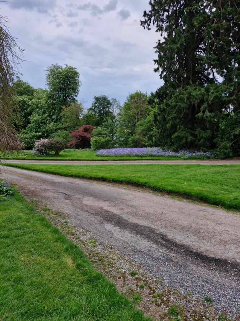 The Bungalow - Ardullie Lodge Dingwall Eksteriør billede