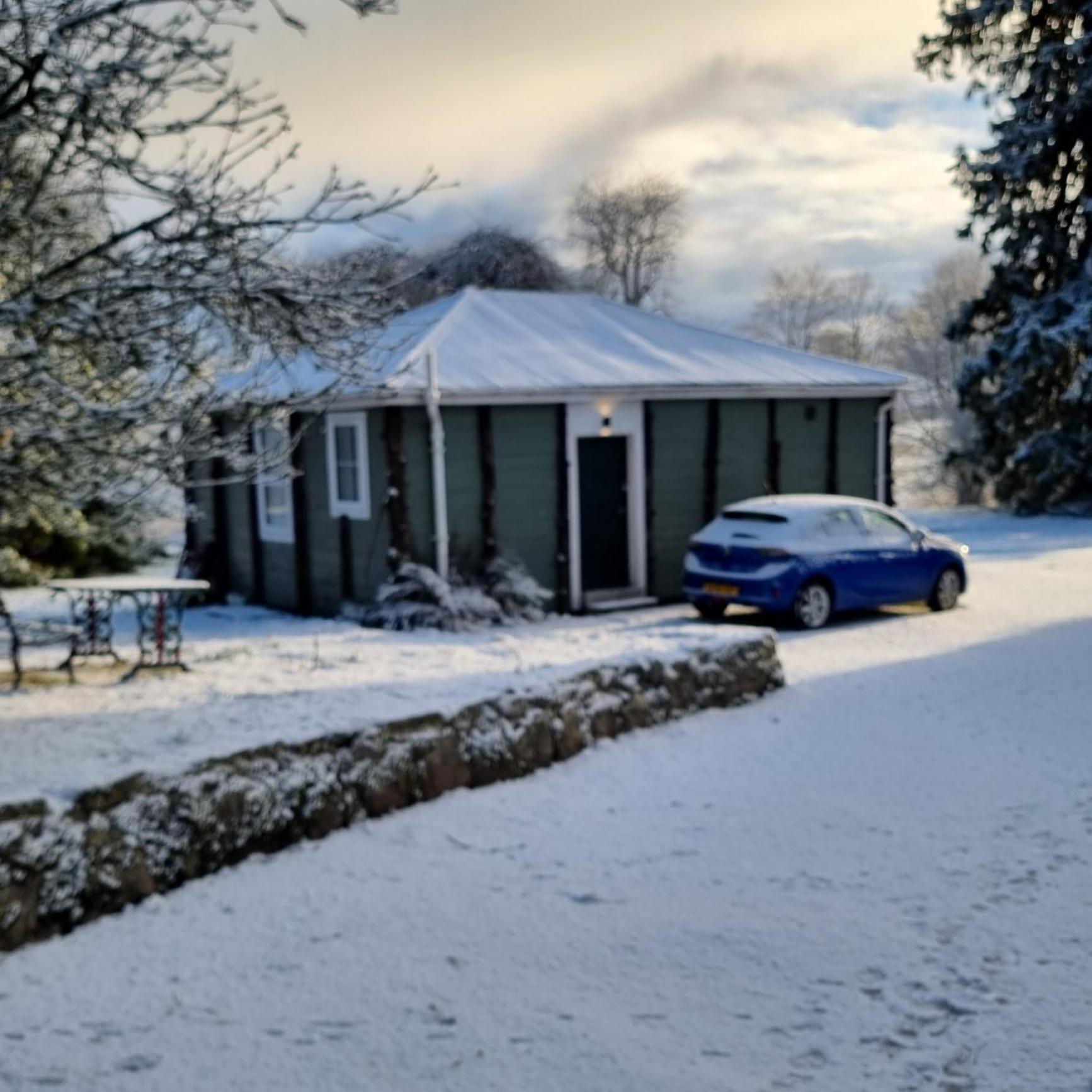 The Bungalow - Ardullie Lodge Dingwall Eksteriør billede