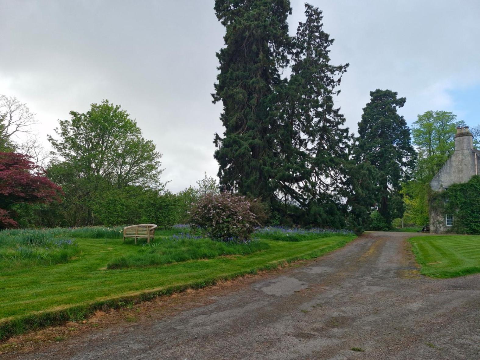 The Bungalow - Ardullie Lodge Dingwall Eksteriør billede